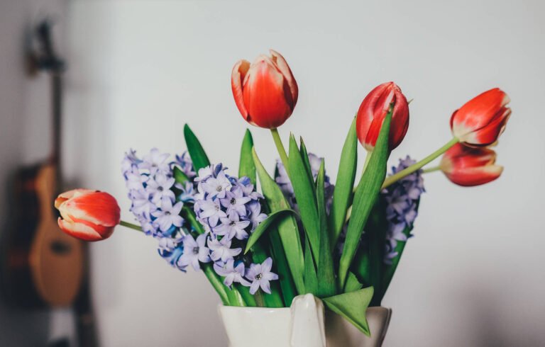 David rodrigo fr6zexbmjmc unsplash