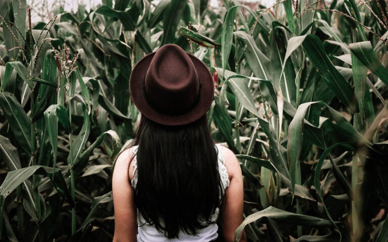 Valentyn chernetskyi hdtszbpp1ro unsplash