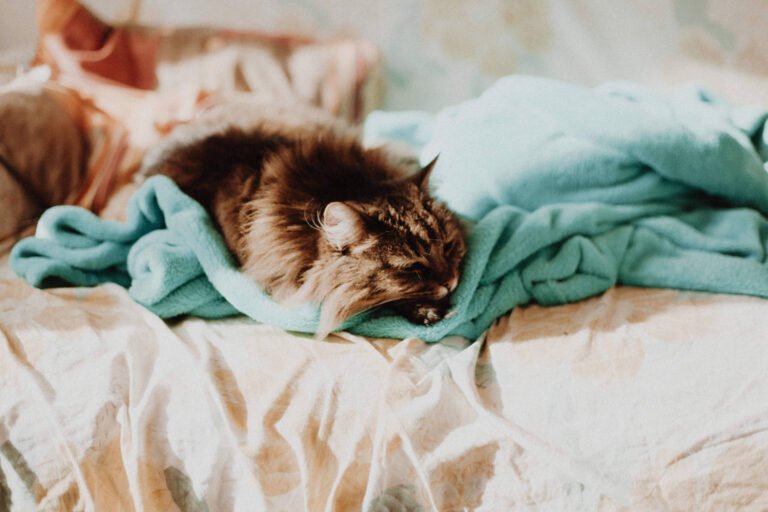 Vinit vispute enqyazpsdjq unsplash