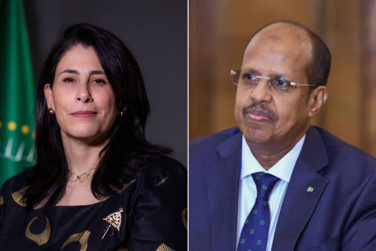 1742848915 أفريقيا والعرب تكامل وتعاون أم تنافس وعداء؟ سياسة.jpg