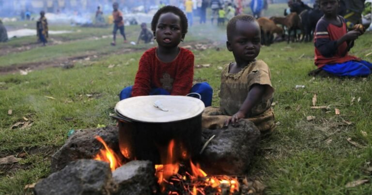 28 مليون شخص يواجهون الجوع الحاد في جمهورية الكونغو الديمقراطية | أخبار 28 مليون شخص يواجهون الجوع الحاد في جمهورية الكونغو الديمقراطية.jpeg