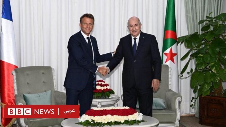 8fc82740 03d2 11f0 9b36 09a73999182b.jpg