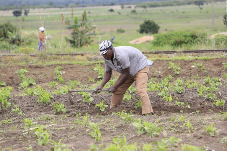 1744550681 زيمبابوي تبدأ خطوة للمصالحة بصرف تعويضات للمزارعين البيض أخبار.jpg