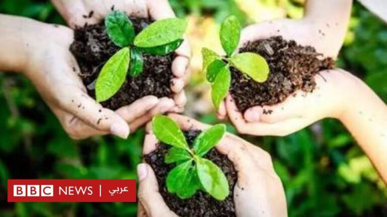 1835e240 1dc6 11f0 9d94 85c1700070ea.jpg