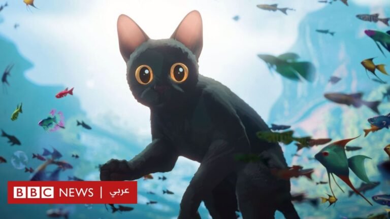 63337400 3569 11f0 8519 3b5a01ebe413.jpg