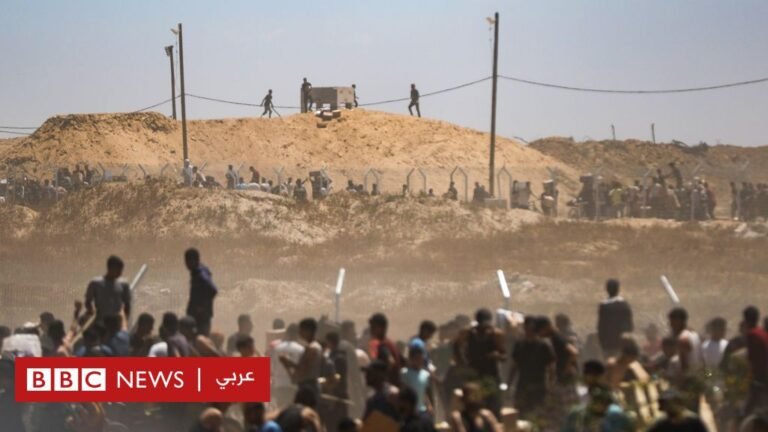 71d205b0 3cd7 11f0 929a 8d8e7c935c86.jpg