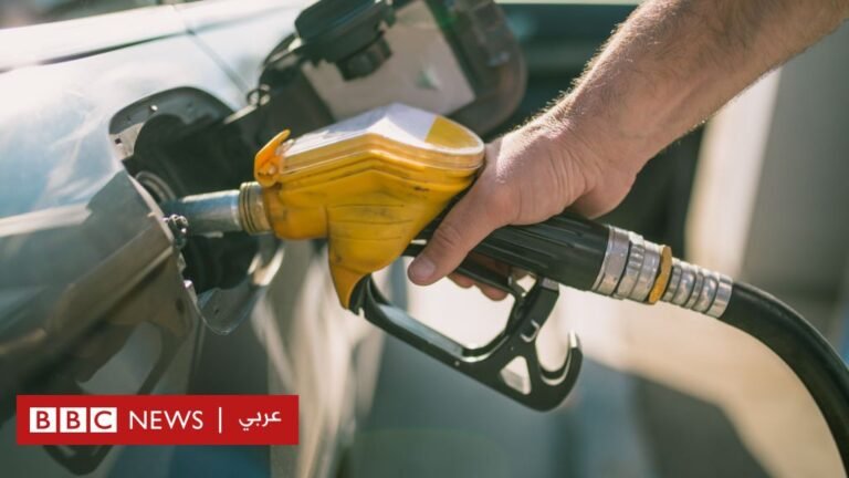 7e44df10 2a6d 11f0 b26b ab62c890638b.jpg