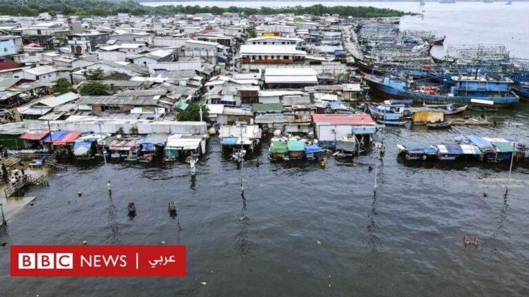 10be50e0 4181 11f0 8664 bfe21a845758.jpg