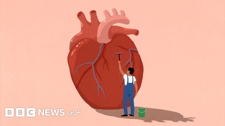 27d23570 5195 11f0 8485 7bd50fa63665.jpg