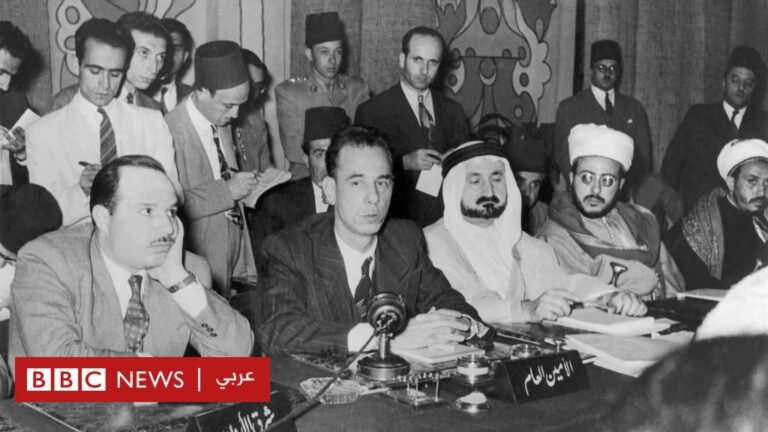 جامعة الدول العربية: هل يجب أن يكون أمينها العام مصرياً؟ Db2724c0 4829 11f0 b3bf c9f452e3175b.jpg