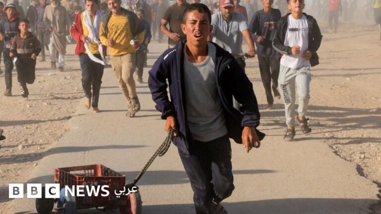 E2aa5fc0 539e 11f0 a2ff 17a82c2e8bc4.jpg