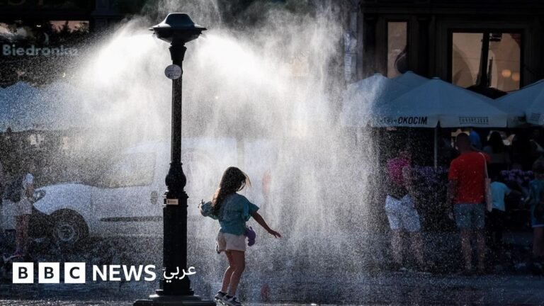 0a513210 5840 11f0 af0c b19c75e243db.jpg