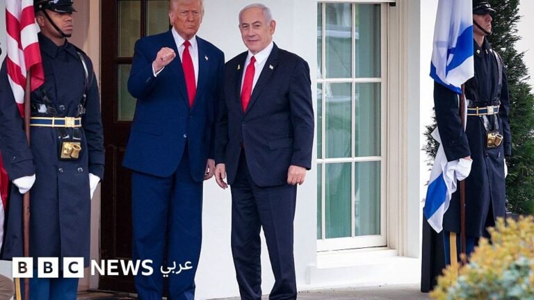 0a536380 5a86 11f0 a40e a1af2950b220.jpg