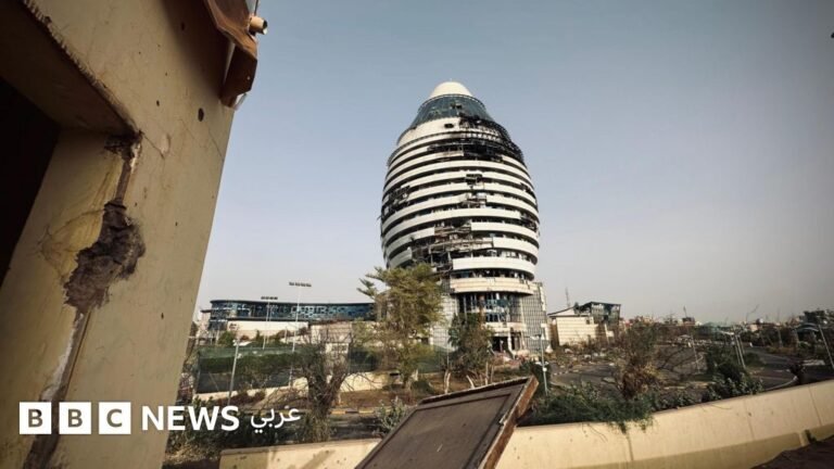 1aa22b50 6467 11f0 a068 c784a7338d38.jpg