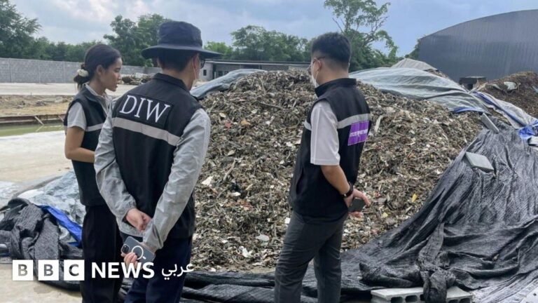 284d1f60 52d5 11f0 a80b 17e86a05b691.jpg