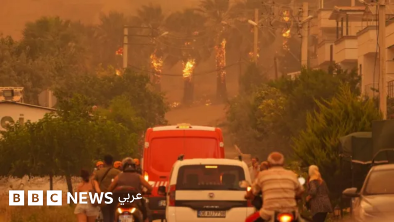 3c050480 56b0 11f0 ab3d f9a4a1af06e7.png