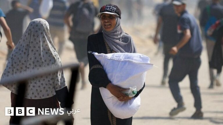 5b9d74c0 6683 11f0 90c4 d7326616353d.jpg