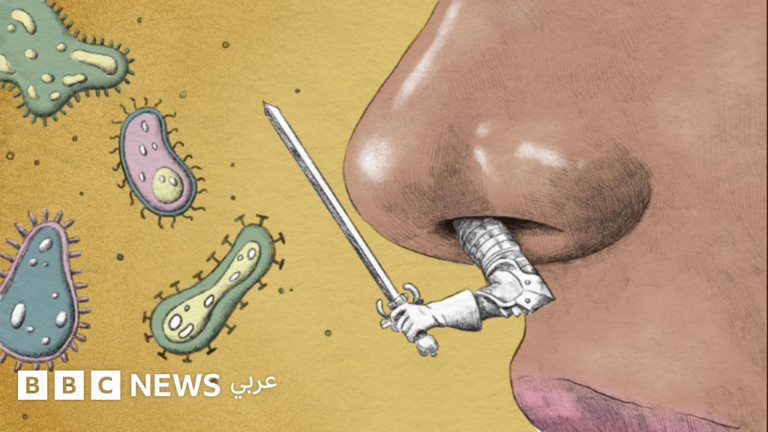 كيف يمكن الاستدلال على صحة الجسم عن طريق مُخاط الأنف؟ 8a339540 5d18 11f0 91ef 235c8e4aa4d6.png