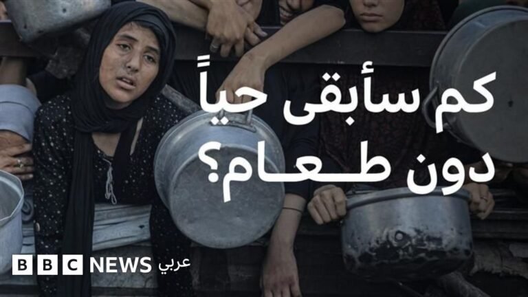 903d0910 663e 11f0 8dbd f3d32ebd3327.jpg