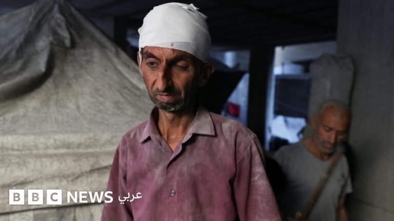 A8cfd6e0 5a42 11f0 9074 8989d8c97d87.jpg