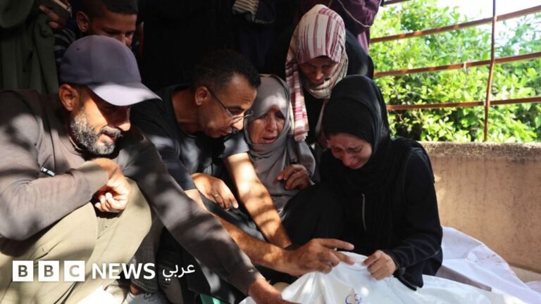 C0fe99d0 5fac 11f0 9df9 7bae7e4371ce.jpg