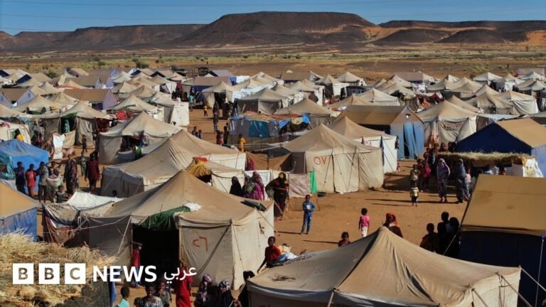 حرب السودان: كيف يواجه السودانيون الأزمة الإنسانية المتفاقمة؟ Edfca1a0 56a3 11f0 b5c5 012c5796682d.jpg